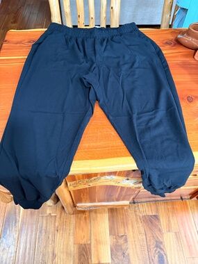 Lane Bryant joggers